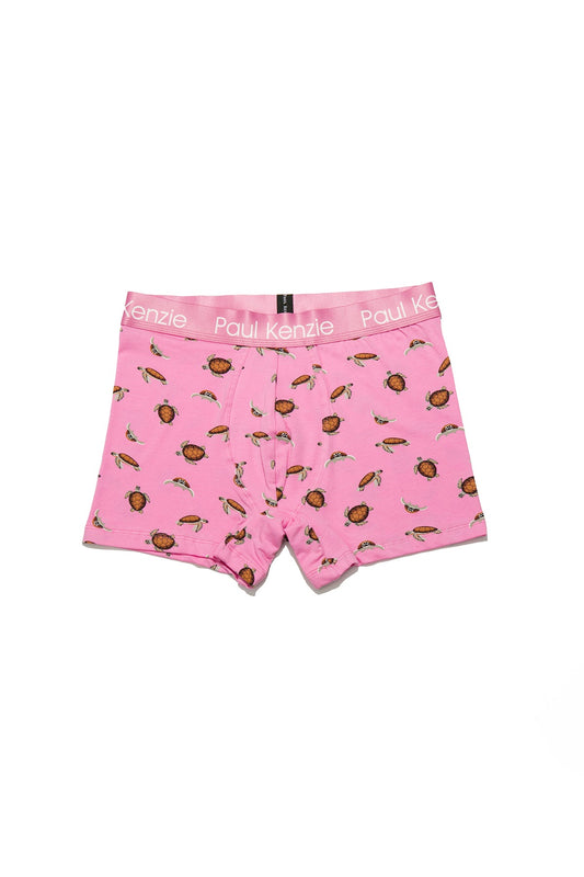 Patterned Men's Boxer Eco Characters – Turtley