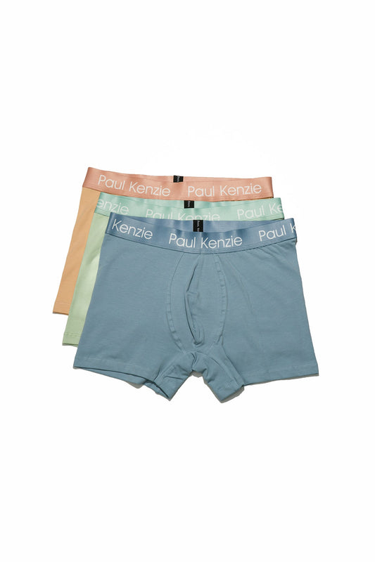 Eco Characters 3-Pack Men's Boxer - Root