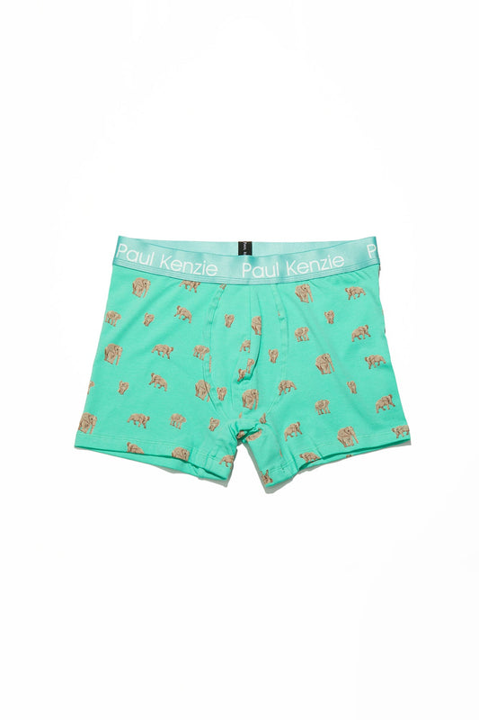 Patterned Men's Boxer Eco Characters – Elephantastic