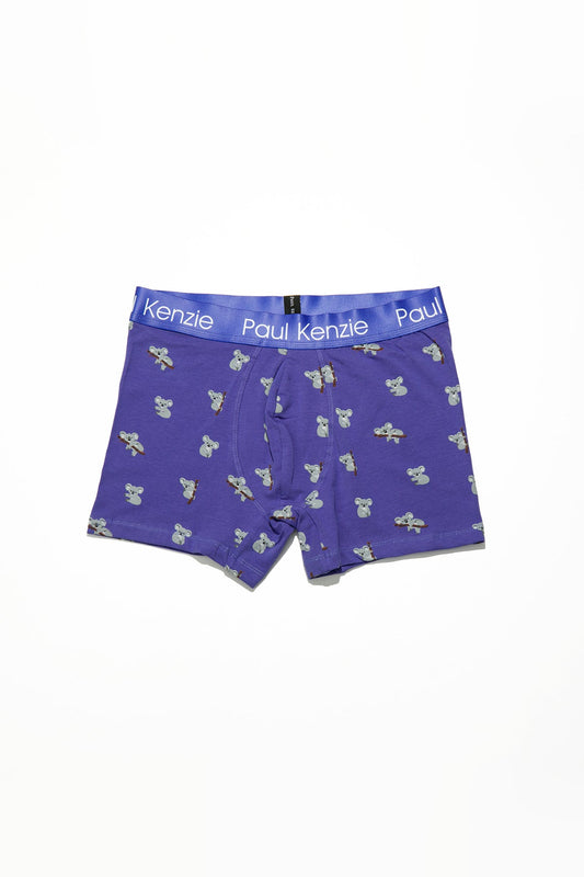 Patterned Men's Boxer Eco Characters – Koala