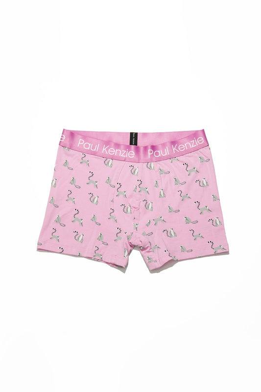 Patterned Men's Boxer Eco Characters – Lemur