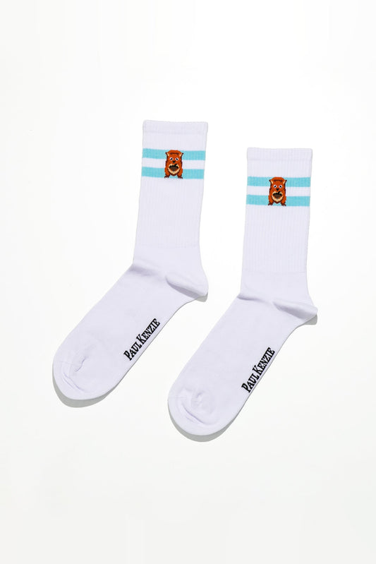 Patterned Unisex Socks – Eco Characters – Squirrel