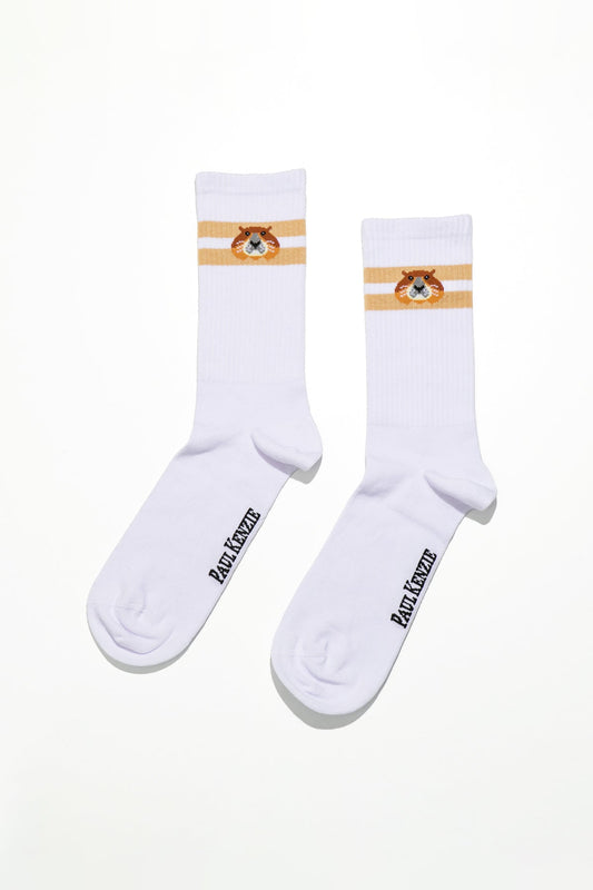 Patterned Unisex Socks – Eco Characters – Woodchuck