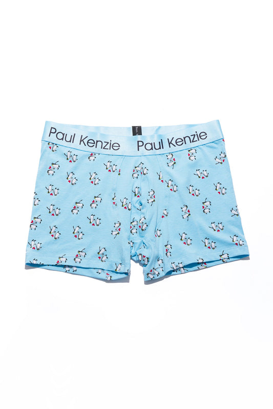 Patterned Men's Boxer - Couple Collection Penguin Love